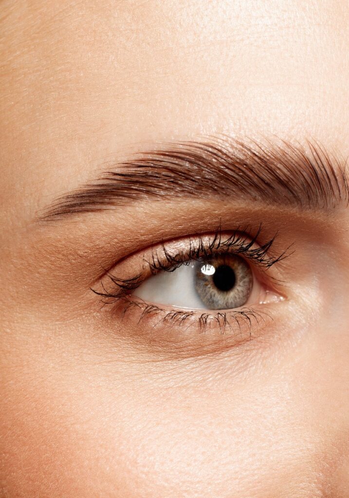 Close-up of beautiful clear female face with attractive gray eyes, perfect eyebrows and natural lashes. Eyebrow and lash lamination. Concept of makeup, cosmetics, natural beauty, skin care products